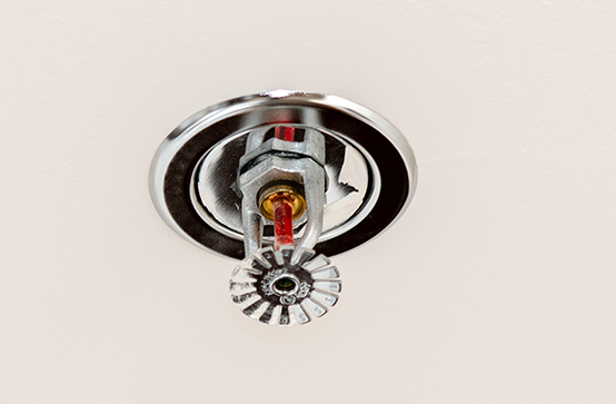 Fire sprinkler system service