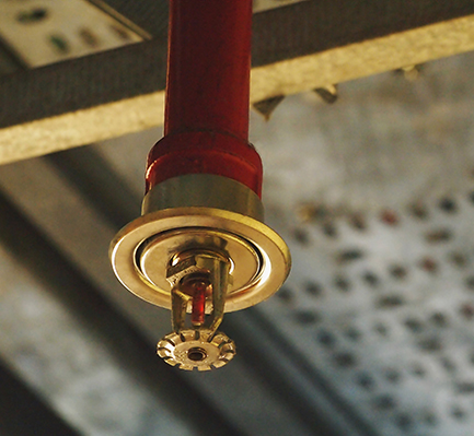 Fire sprinkler riser and piping